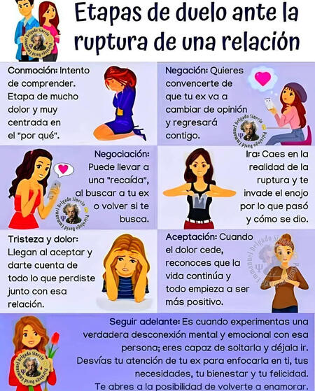 El "zorro de fuego" se refiere a una variante melanística del zorro rojo, caracterizada por un pelaje anaranjado con franjas oscuras, casi negras. Este patrón de coloración se debe a una alteración en la producción de melanina, el pigmento que determina el