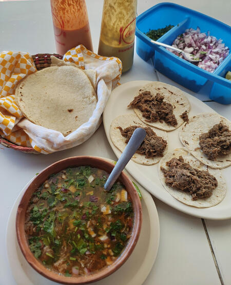 EL ZORRO 🦊 ROJO El "zorro de fuego" se refiere a una variante melanística del zorro rojo, caracterizada por un pelaje anaranjado con franjas oscuras, casi negras. Este patrón de coloración se debe a una alteración en la producción de melanina, el pigmento que determina el