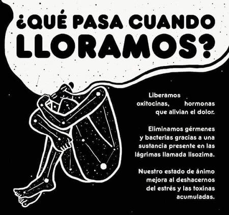 EL ZORRO 🦊 ROJO El "zorro de fuego" se refiere a una variante melanística del zorro rojo, caracterizada por un pelaje anaranjado con franjas oscuras, casi negras. Este patrón de coloración se debe a una alteración en la producción de melanina, el pigmento que determina el